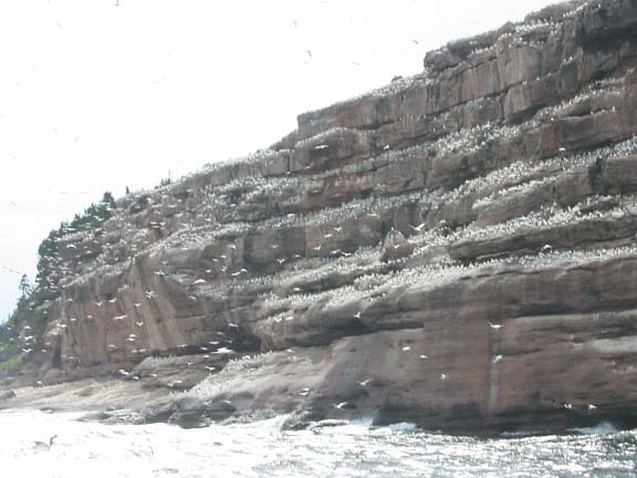 Sur le chemin du Grand Stage de Tajiquan (Tai Chi)