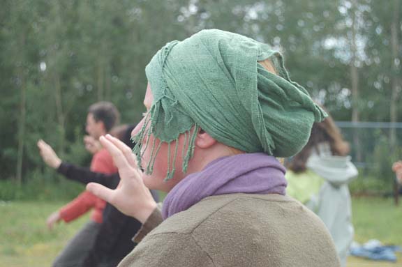 Grand Stage de Taïjiquan (Tai Chi) Grand Stage de Taïjiquan (Tai Chi)