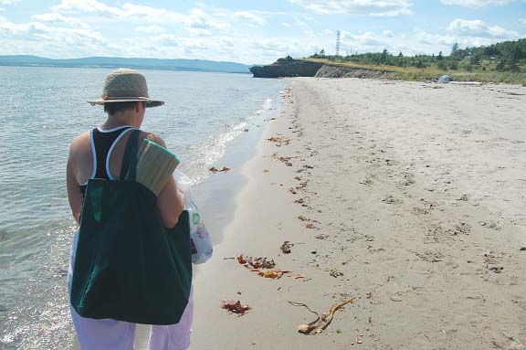 Grand Stage de Taïjiquan (Tai Chi) Grand Stage de Taïjiquan (Tai Chi)