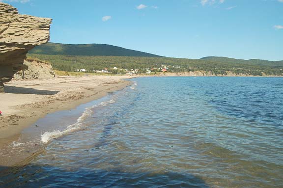 Grand Stage de Taïjiquan (Tai Chi) Grand Stage de Taïjiquan (Tai Chi)