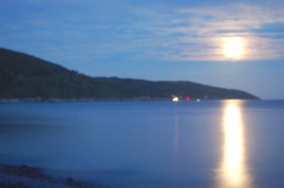 Grand Stage de Taïjiquan (Tai Chi) Grand Stage de Taïjiquan (Tai Chi)