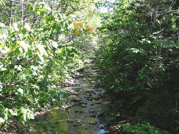Grand Stage de Taïjiquan (Tai Chi) Grand Stage de Taïjiquan (Tai Chi)
