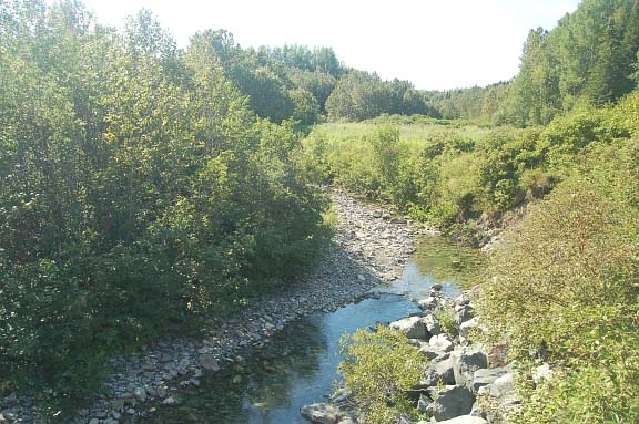 Grand Stage de Taïjiquan (Tai Chi) Grand Stage de Taïjiquan (Tai Chi)