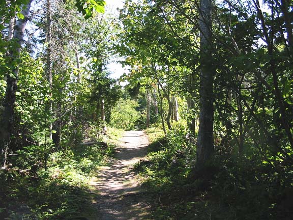 Grand Stage de Tajiquan (Tai Chi)