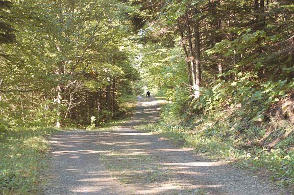 Grand Stage de Taïjiquan (Tai Chi) Grand Stage de Taïjiquan (Tai Chi)