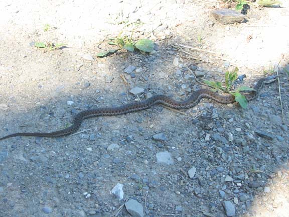 Grand Stage de Taïjiquan (Tai Chi) Grand Stage de Taïjiquan (Tai Chi)