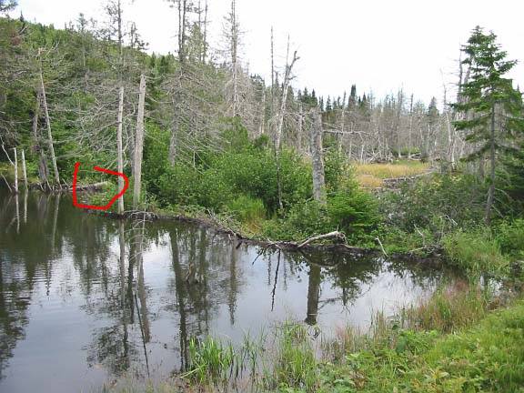 Grand Stage de Tajiquan (Tai Chi)