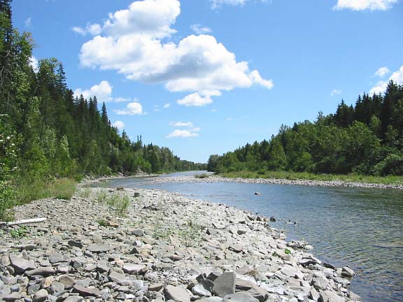 Grand Stage de Taïjiquan (Tai Chi) Grand Stage de Taïjiquan (Tai Chi)