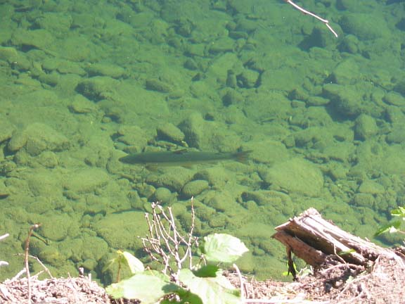 Grand Stage de Taïjiquan (Tai Chi) Grand Stage de Taïjiquan (Tai Chi)