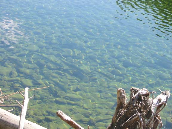 Grand Stage de Tajiquan (Tai Chi)