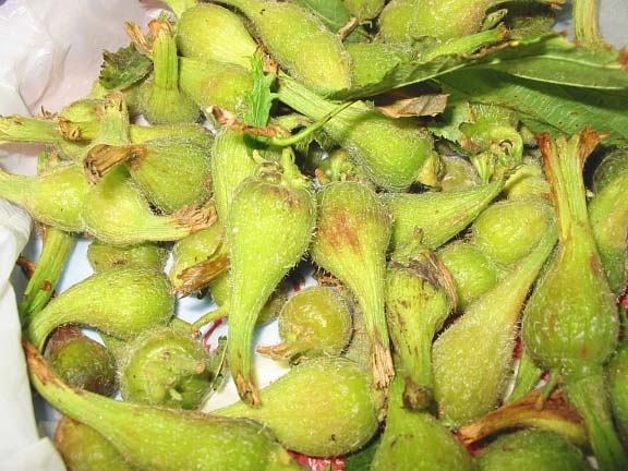 Grand Stage de Taïjiquan (Tai Chi) Grand Stage de Taïjiquan (Tai Chi)