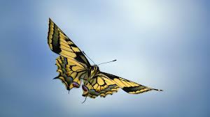 papillon.jpe